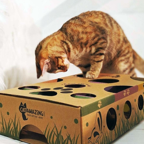 Classic Interactive Cat Toy Treat Maze Puzzle - Picture 2 of 4